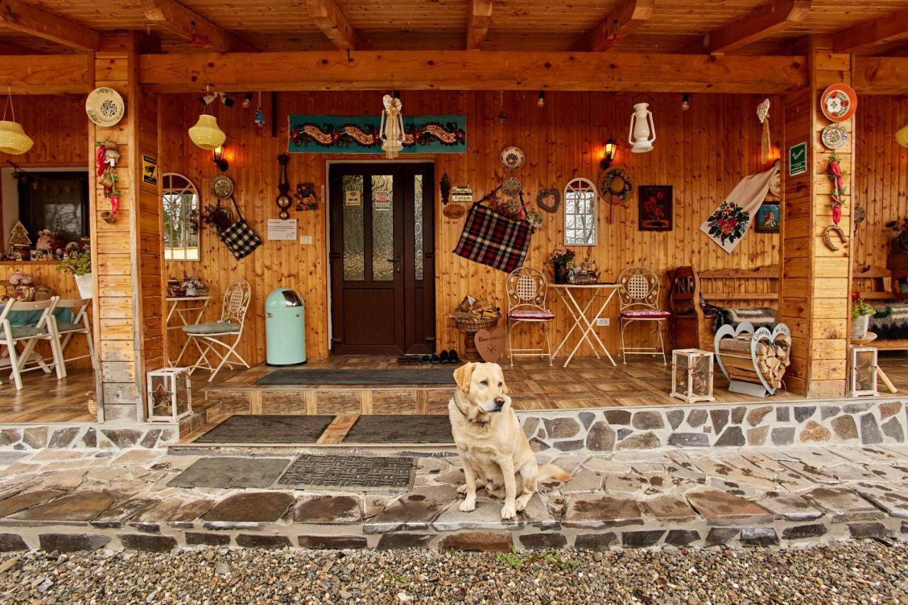 Gradina Lu' Ion "A Home Away From Home" (Adults Only) Вишеу-де-Сус Экстерьер фото