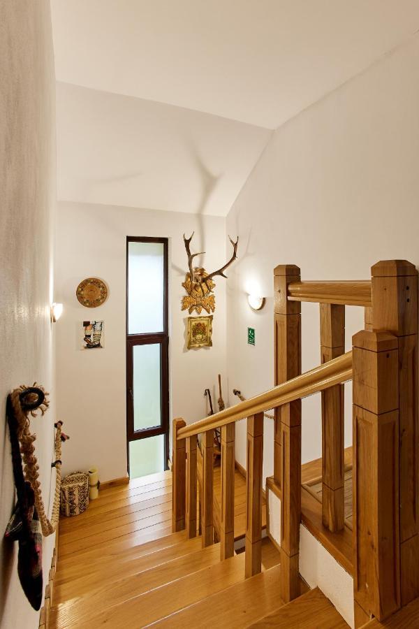 Gradina Lu' Ion "A Home Away From Home" (Adults Only) Вишеу-де-Сус Экстерьер фото