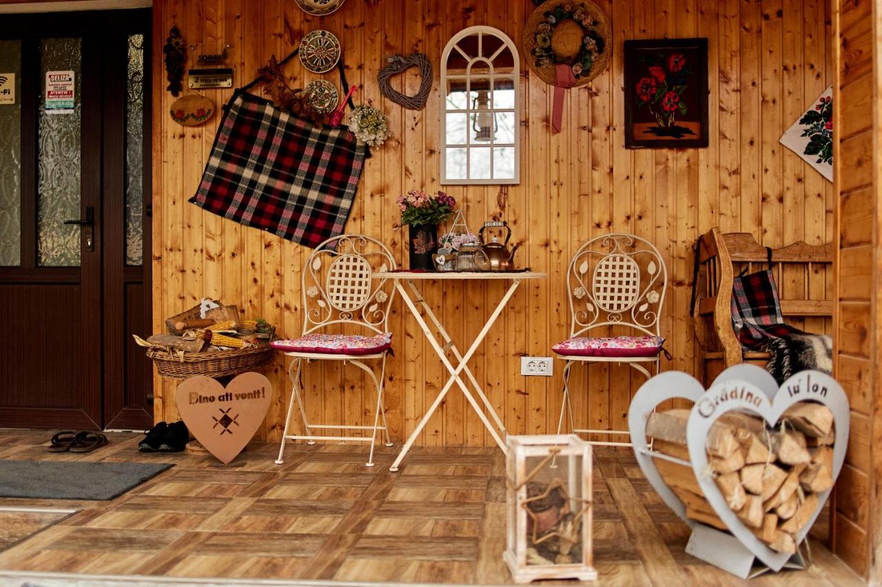 Gradina Lu' Ion "A Home Away From Home" (Adults Only) Вишеу-де-Сус Экстерьер фото