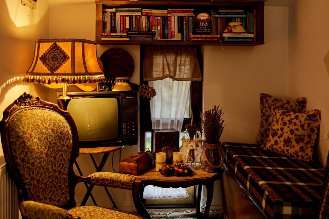 Gradina Lu' Ion "A Home Away From Home" (Adults Only) Вишеу-де-Сус Экстерьер фото